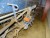 Seed drill Nordsten Lift o matic CLF 5m for grass seed