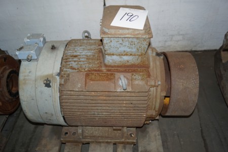 Large electric motor with pulley