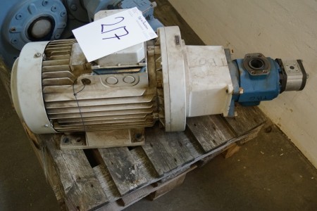Electric motor with hydraulic pump