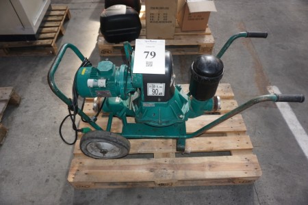 Caffini pumps, water pump. Condition: unknown. Type: 1-s9032