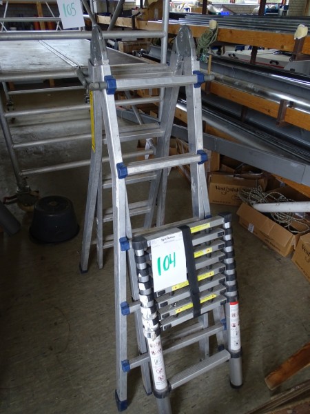 Telescopic ladder + folding ladder.