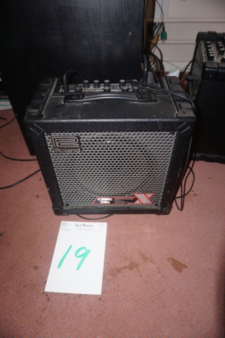 Amplifier brand Roland Cube 30x
