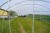 Greenhouse frames 150 m2