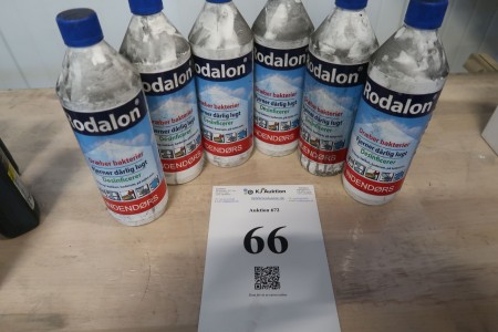 6x1 liter Rodalon