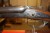 Männlich Rifle Missing Male Rassenlänge 73 cm Gesamtlänge 114 Nummer 2958