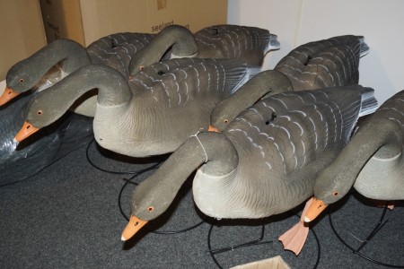 Walking locks Gray geese 6 pieces with stand and feet.