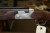 Beretta SV10 Shotgun New Caliber 12-76 71-cm-Rennen mit Drosseln new Kick off.