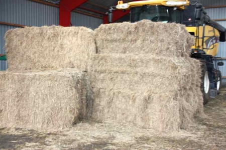 App. 45 big bales of hay and straw