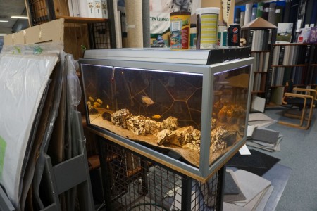 Akvarie med fisk. 100*50*50 cm. 