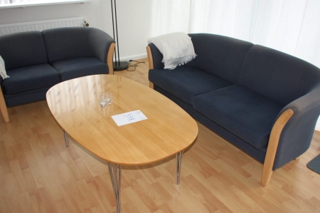 (2) sofas + coffee table + floor lamp