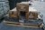 5 wooden ammunition boxes L 3x82 cm W 3x 29 cm H 3x18 cm L 2x110 cm W 2x33 cm H 2x 19 cm