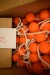 Box of dog balls with leash for dog training. 155pcs normal piece. price 22, -