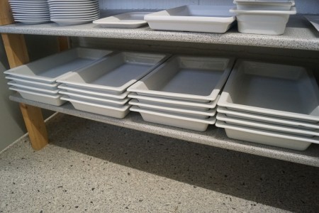 16 large dishes 53x32 + various trays etc.
