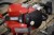 Nilfisk støvsuger extreme x100. Fra konkursboet efter Egholm Malerfirma