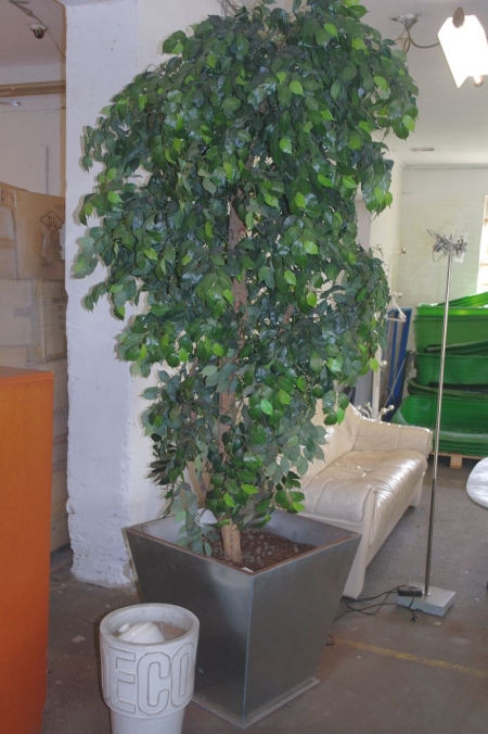 Large living birch in potted (artificial) + large pottery jar.