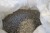 Großer Rücken mit Granitplatten, grau, 11-16 mm