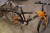 MUSTANG boys bike. 7 gears, color: ORANGE / BLACK. Set number: WDB24515D.