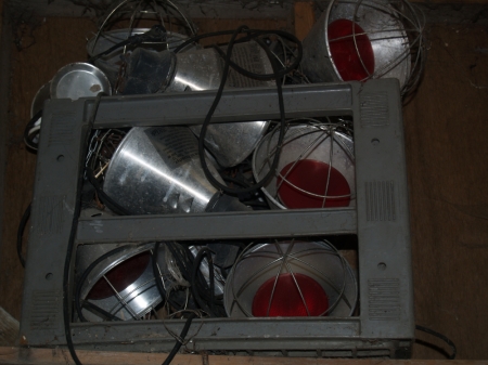 (8) lamps for poultry breeding