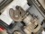 Jernklipper, mærke: Edilgrappa, model: MU16 + håndbukker 8-12mm