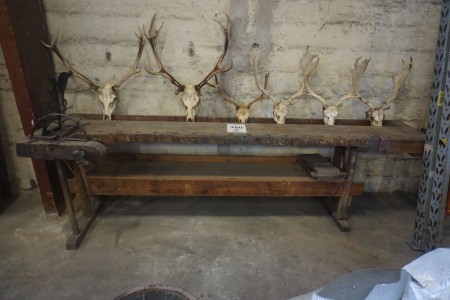 Workshop table with screw clamp + 6 antlers on trophy plates