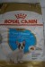 2 bags of dog food, Brand: Royal Canin