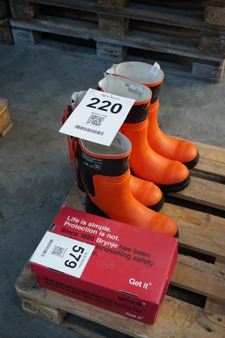 2 pairs of rubber boots + 1 pair of safety shoes