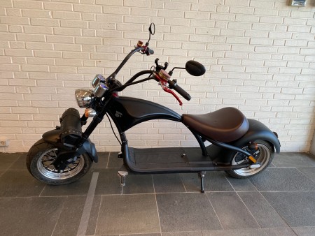 EEC Electric scooter, model: M1