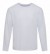 20 pcs. SPORTS T-SHIRTS with long sleeves, WHITE + 25 pcs. TRENDY CAPS, NATURE