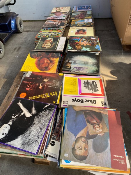 Large batch of LPs