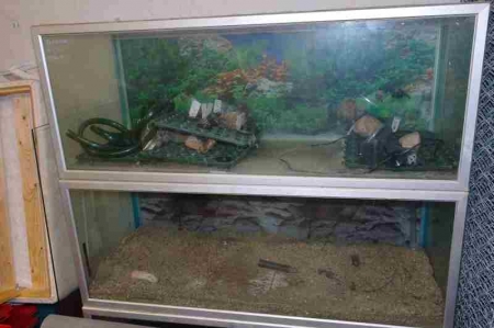 3 aquariums
