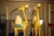 2 camels (exhibition / decoration)