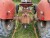 Traktor, mærke: Massey Ferguson, model: 31 
