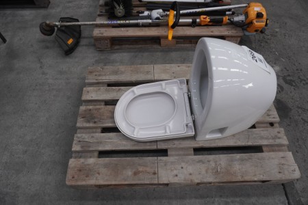 Wall-hung toilet