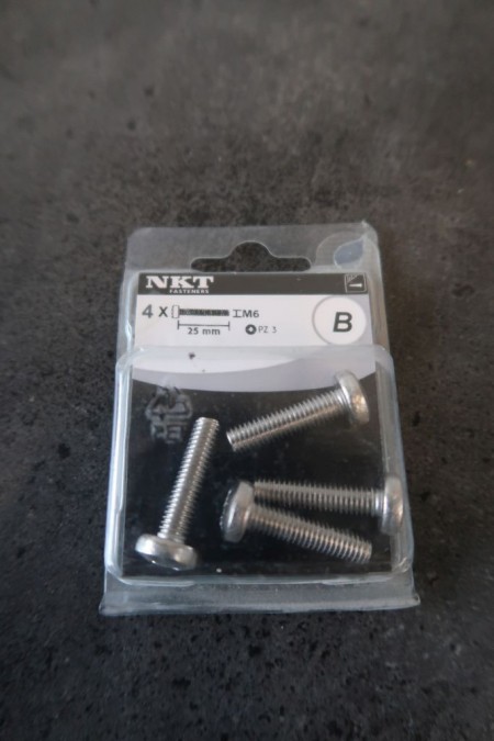100 pieces. stainless steel bolts M4x25 mm