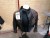 Motorcycle jacket, brand Redwell
