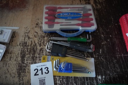 Complete screwdriver set incl. 4 sets of Allen keys