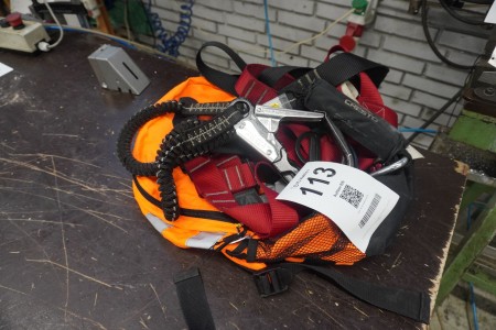 Fall protection + harness