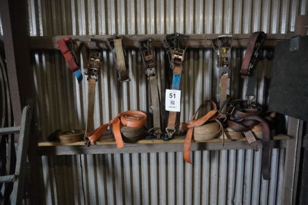 Various straps