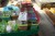 Lot of lunch boxes + toothbrushes + mugs