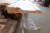 20.4 meter common baseboard