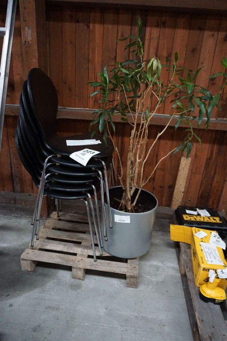 6 Stück. Stühle inkl. Künstliche Pflanze