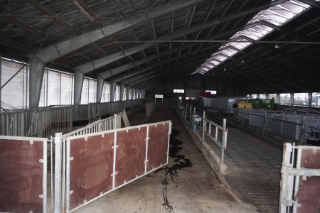 Large batch of barn furniture/beds for cows