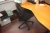 El hæve/sænke skrivebord, Ergolevel + skuffesektion + kontorstol, Labofa + køreplade + fladskærm, Dell + 2 affaldsstativer + whiteboard, ca. 2000 x 1200 mm