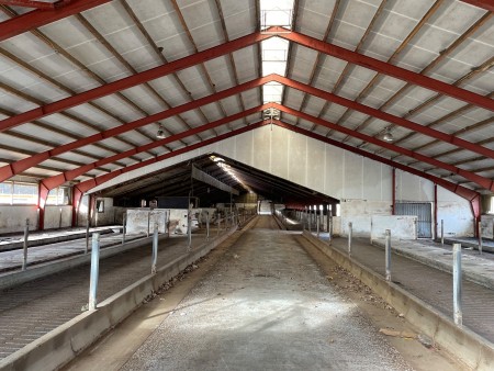 Large lot of stables for cows